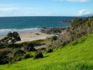 View of  Tawharanui Beach