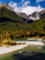 Lower Hollyford